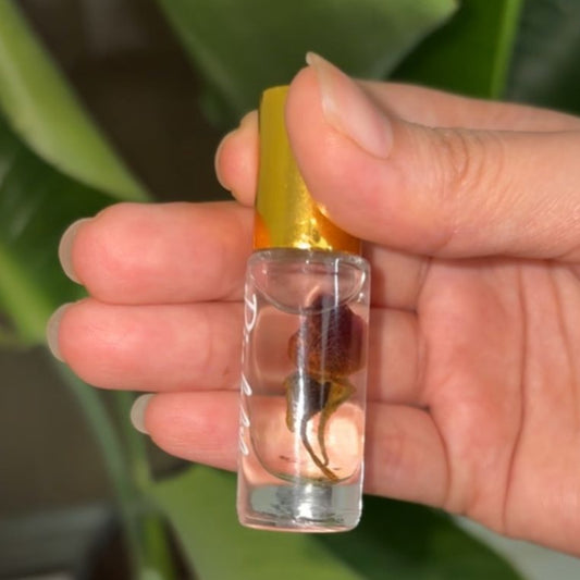 Hand holding a small glass container with a gold cap containing a small plant or seedling against a green leafy background.